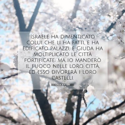 Osea 8:14 RIV Immagine del Versetto della Bibbia