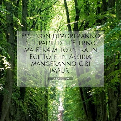 Osea 9:3 RIV Immagine del Versetto della Bibbia