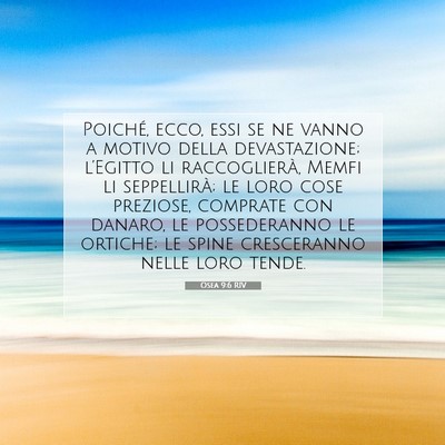 Osea 9:6 RIV Immagine del Versetto della Bibbia
