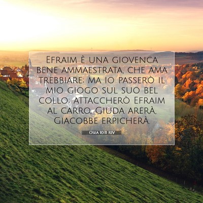 Osea 10:11 Versetto della Bibbia Spiegato