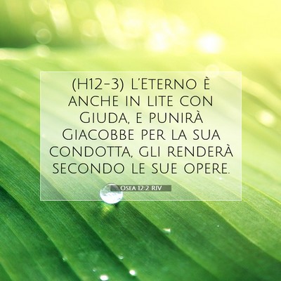 Osea 12:2 RIV Immagine del Versetto della Bibbia