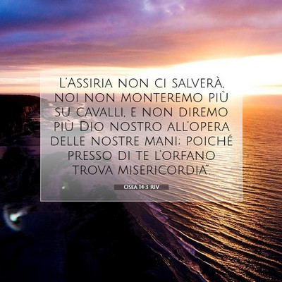 Osea 14:3 RIV Immagine del Versetto della Bibbia