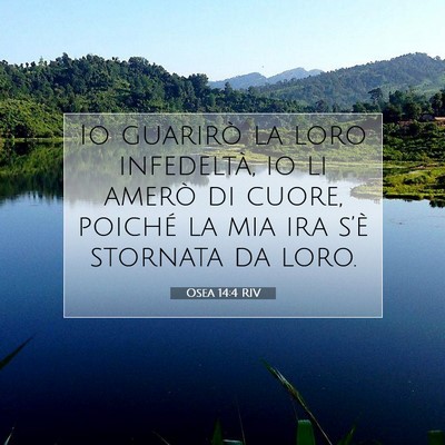 Osea 14:4 RIV Immagine del Versetto della Bibbia