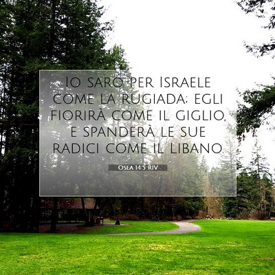 Osea 14:5 RIV Immagine del Versetto della Bibbia