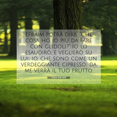 Osea 14:8 RIV Immagine del Versetto della Bibbia