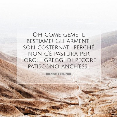 Gioele 1:18 Versetto della Bibbia Spiegato
