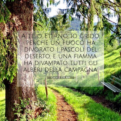 Gioele 1:19 Versetto della Bibbia Spiegato