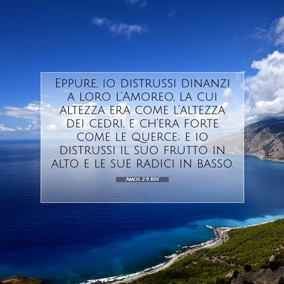 Amos 2:9 RIV Immagine del Versetto della Bibbia
