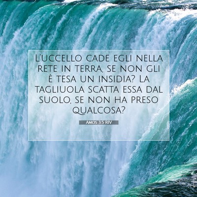Amos 3:5 Versetto della Bibbia Spiegato