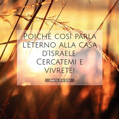 Amos 5:4 Versetto della Bibbia Spiegato