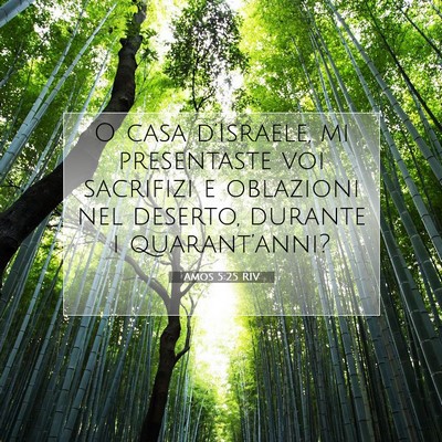 Amos 5:25 Versetto della Bibbia Spiegato