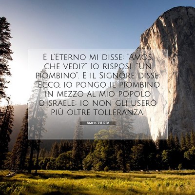 Amos 7:8 RIV Immagine del Versetto della Bibbia