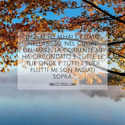Giona 2:3 RIV Immagine del Versetto della Bibbia