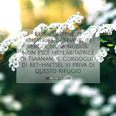 Michea 1:11 Versetto della Bibbia Spiegato