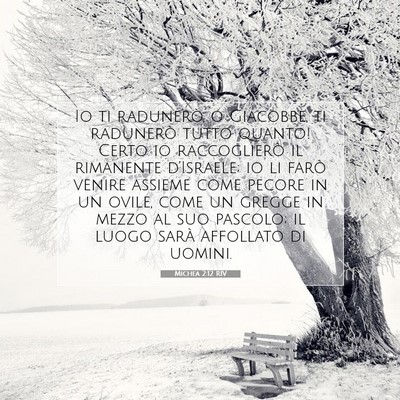 Michea 2:12 RIV Immagine del Versetto della Bibbia