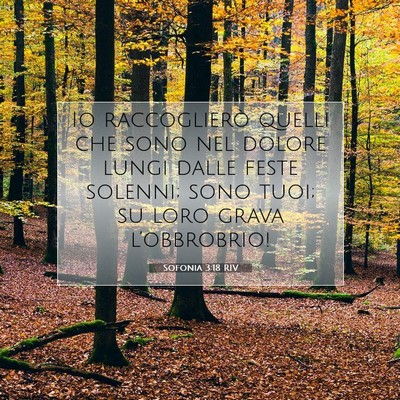 Sofonia 3:18 RIV Immagine del Versetto della Bibbia