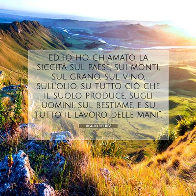 Aggeo 1:11 Versetto della Bibbia Spiegato