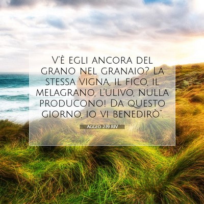 Aggeo 2:19 RIV Immagine del Versetto della Bibbia