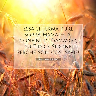 Zaccaria 9:2 RIV Immagine del Versetto della Bibbia