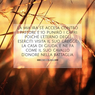 Zaccaria 10:3 RIV Immagine del Versetto della Bibbia