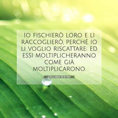 Zaccaria 10:8 Versetto della Bibbia Spiegato