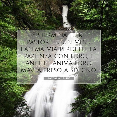 Zaccaria 11:8 RIV Immagine del Versetto della Bibbia
