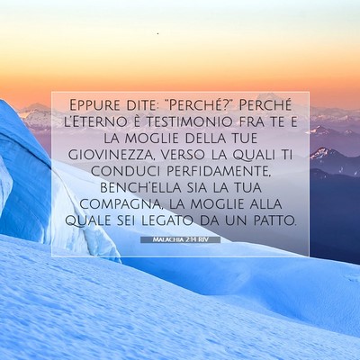 Malachia 2:14 RIV Immagine del Versetto della Bibbia