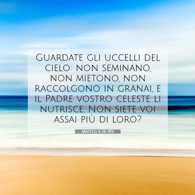 Matteo 6:26 Versetto della Bibbia Spiegato