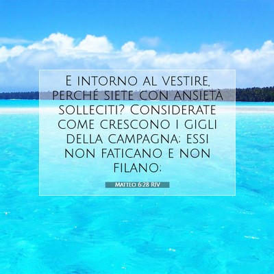 Matteo 6:28 Versetto della Bibbia Spiegato