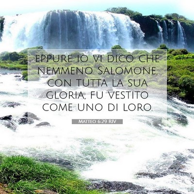 Matteo 6:29 Versetto della Bibbia Spiegato
