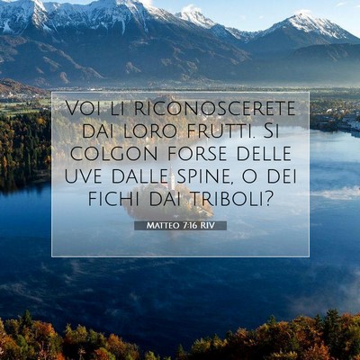 Matteo 7:16 Versetto della Bibbia Spiegato