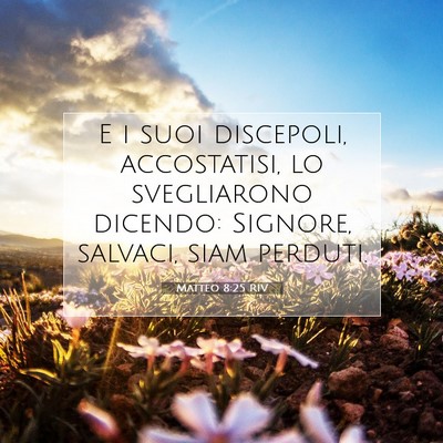 Matteo 8:25 Versetto della Bibbia Spiegato
