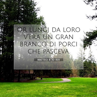 Matteo 8:30 Versetto della Bibbia Spiegato