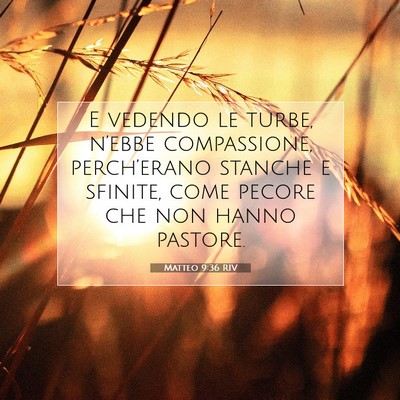 Matteo 9:36 Versetto della Bibbia Spiegato