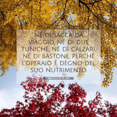 Matteo 10:10 Versetto della Bibbia Spiegato