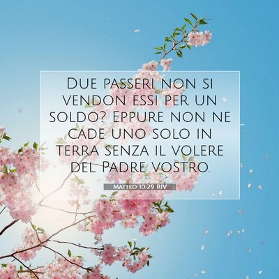 Matteo 10:29 RIV Immagine del Versetto della Bibbia