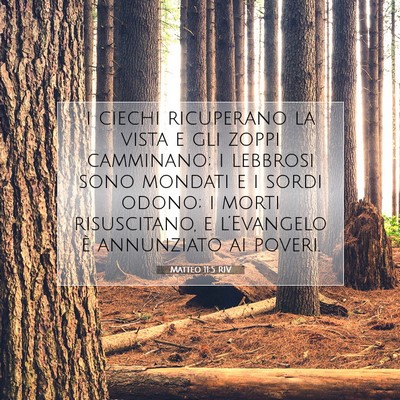Matteo 11:5 RIV Immagine del Versetto della Bibbia