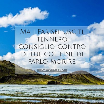 Matteo 12:14 RIV Immagine del Versetto della Bibbia