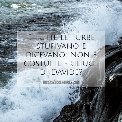 Matteo 12:23 Versetto della Bibbia Spiegato