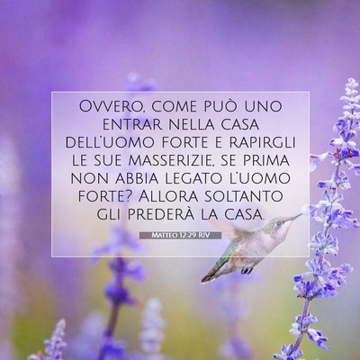 Matteo 12:29 Versetto della Bibbia Spiegato