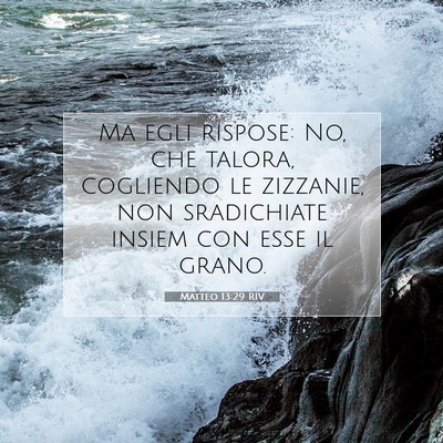 Matteo 13:29 Versetto della Bibbia Spiegato