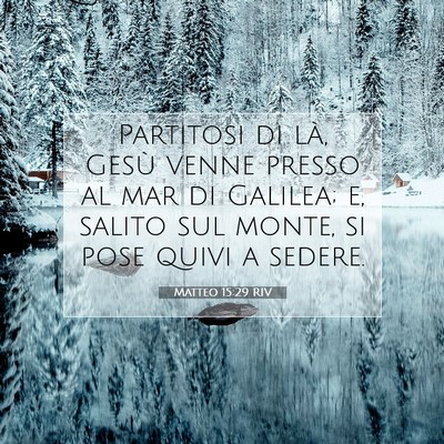 Matteo 15:29 RIV Immagine del Versetto della Bibbia