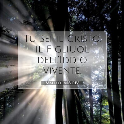 Matteo 16:16 Versetto della Bibbia Spiegato