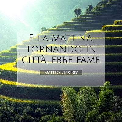 Matteo 21:18 Versetto della Bibbia Spiegato