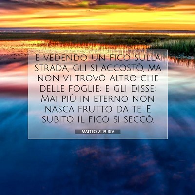 Matteo 21:19 RIV Immagine del Versetto della Bibbia