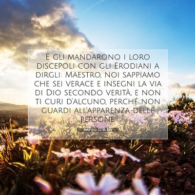Matteo 22:16 RIV Immagine del Versetto della Bibbia