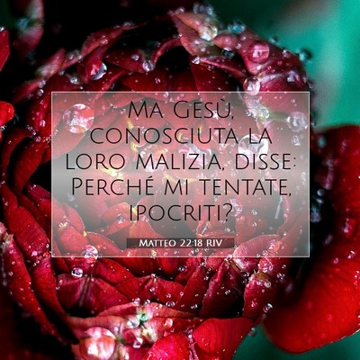 Matteo 22:18 Versetto della Bibbia Spiegato