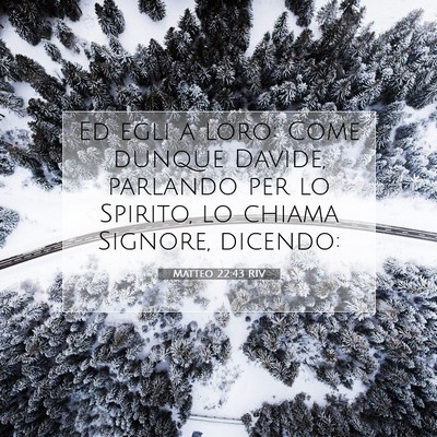 Matteo 22:43 RIV Immagine del Versetto della Bibbia