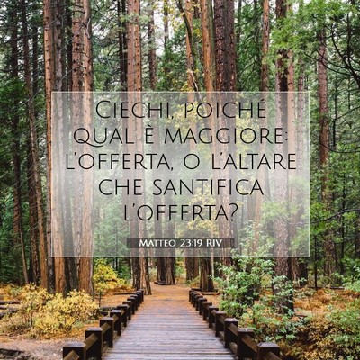 Matteo 23:19 RIV Immagine del Versetto della Bibbia