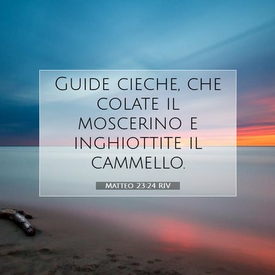 Matteo 23:24 Versetto della Bibbia Spiegato